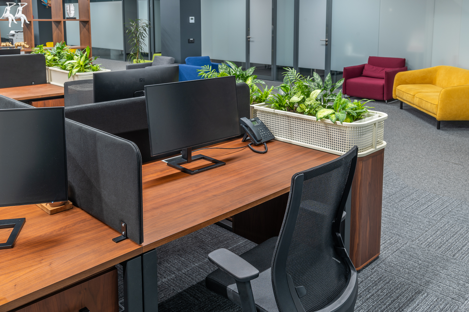 Фото проекта: Ультра Фиш. Изображение № 7