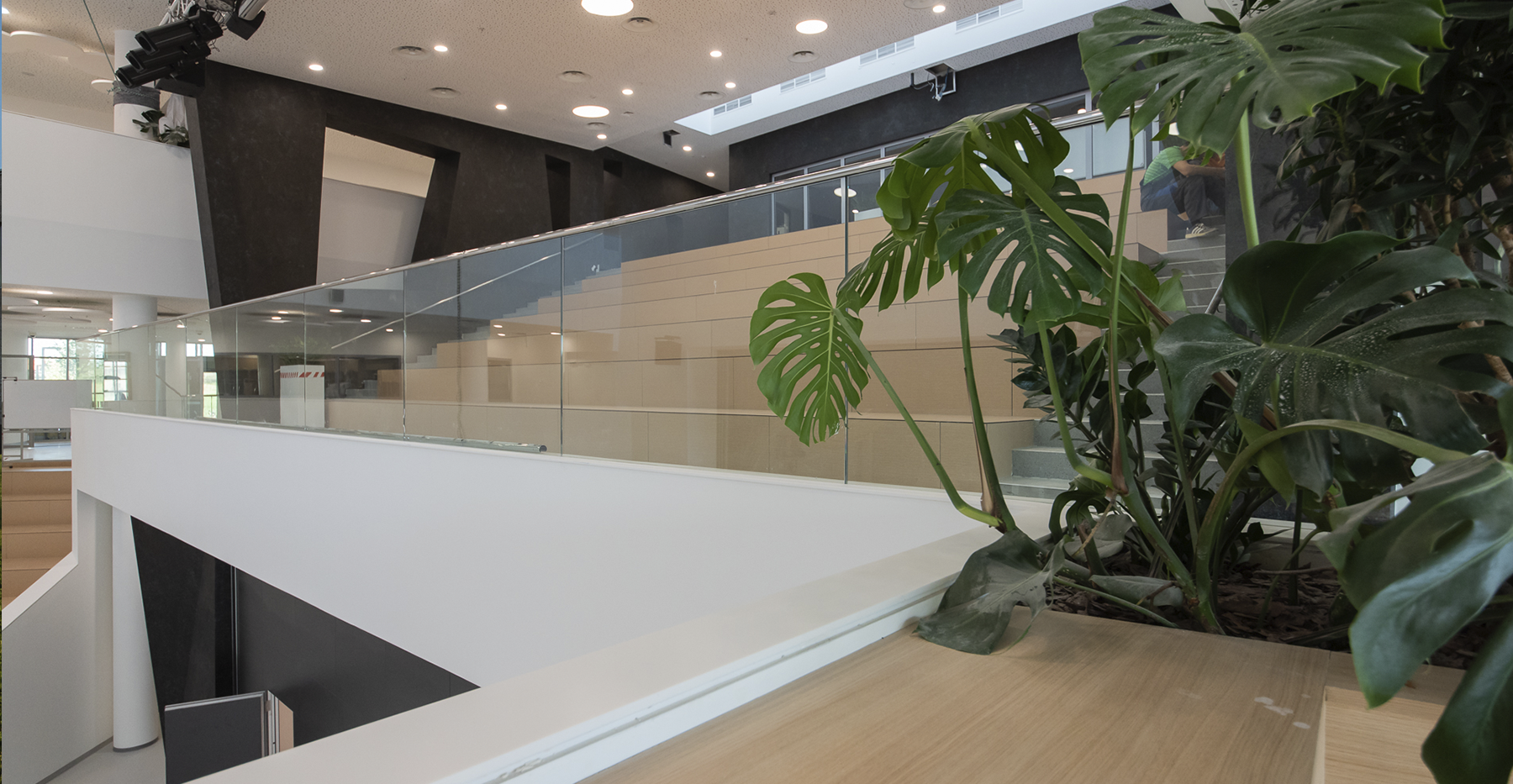 Фото проекта: Школа-кампус «Летово». Изображение № 12